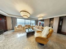 二号府邸 大平层203平 豪装拎包住 楼层视野好 4开间朝南