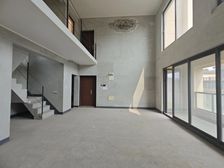 照母山公园洋房 顶跃送大露台 客厅挑高6m 多赠送面积