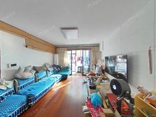 新上徐汇臻园带50平花园 另有产权车库 满五V一 商品房