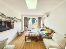 新华小区(吴泾) 23号线地铁房 南北的小两房一厅 低总价