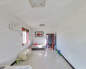 南北通透双兴南区1室1厅精装修