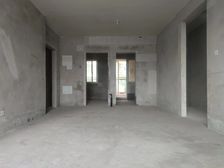 钓鱼嘴半岛 中洲半岛城邦三房88万