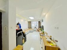 田林·田林十村·2室·2厅