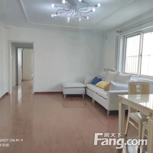 ������ ���ݷ����� ����� �׼�ׯ �Ž�� ����¥ ������ 