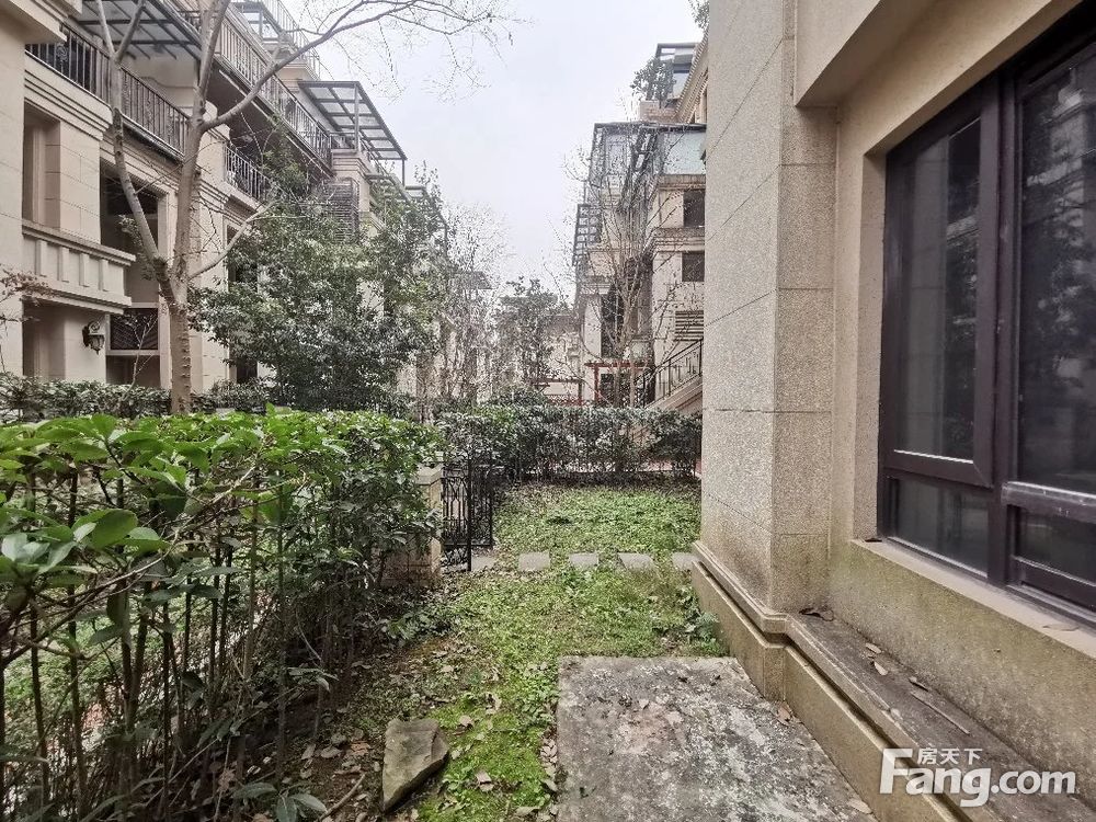 实景图
