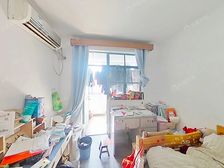 两南一北全明3房锦江乐园288米 小区位置好