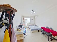 东城龙体+龙潭湖畔+西南向+无遮挡+税费低+高利用率+急售