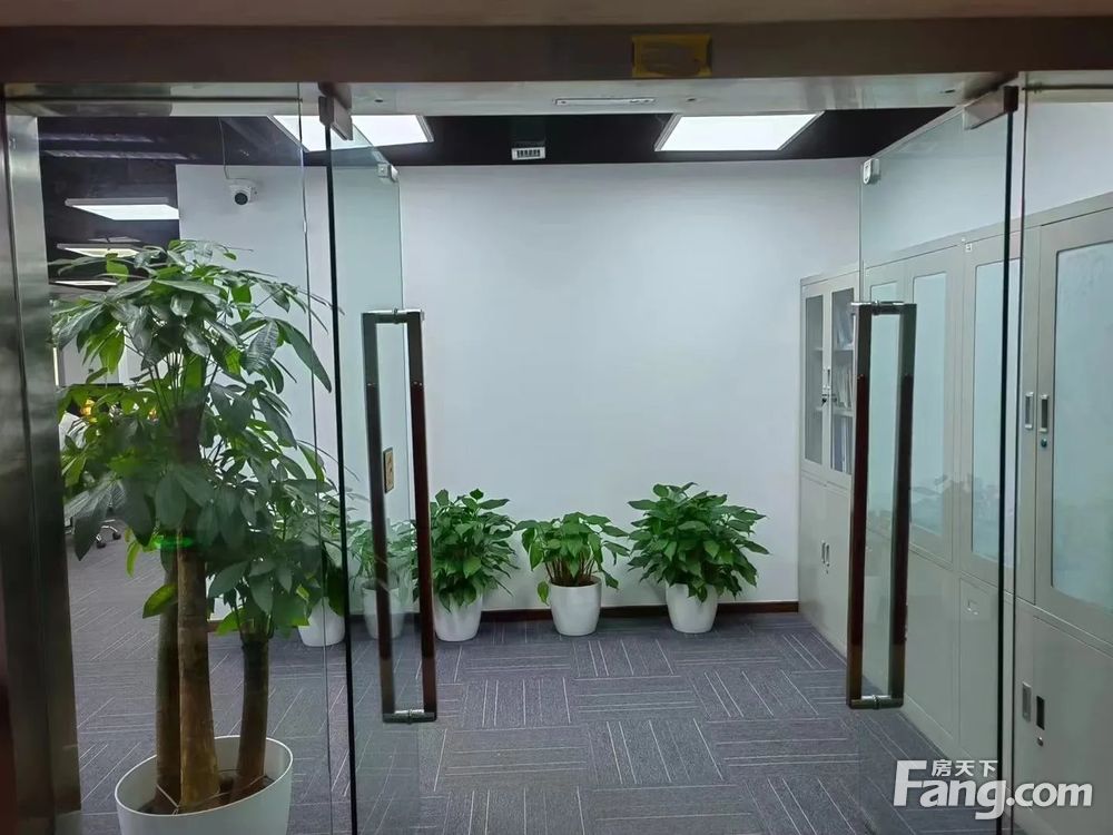 内景图