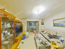 西坝河 · 国展新座 · 5室 · 2厅观景跃层