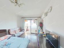 南北两房一厅,近轨交11,14号真如站,中间楼层采光好