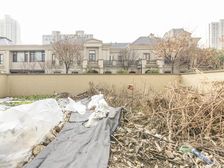 新出玉兰广场 别墅 纯毛坯 大院子 随时看房