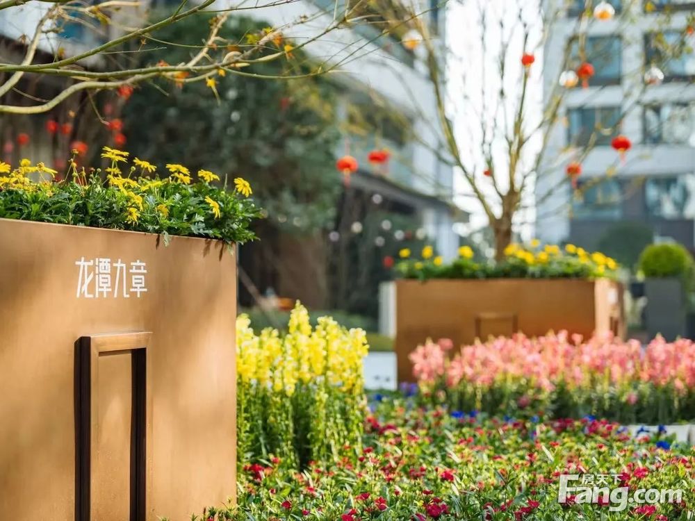 实景图