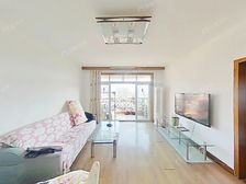 二/中/心+进/才北可用,没税,高区诚售。