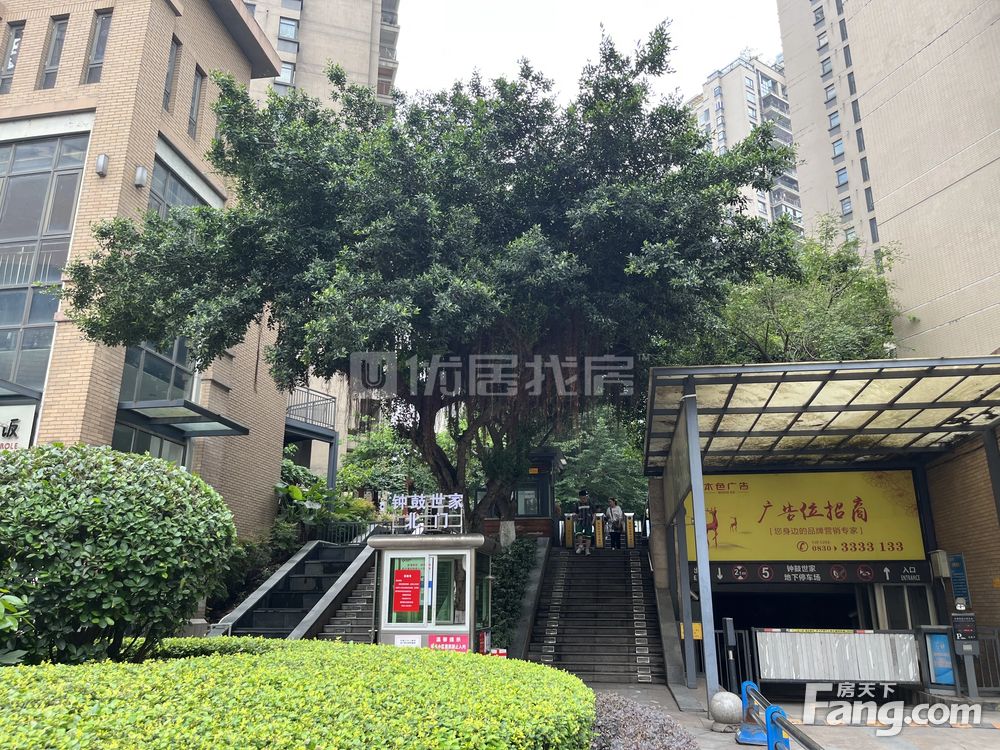 小区图