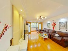 苏州博物馆敬文平江双轨交 全明大三房 户型正气 独库车位都有