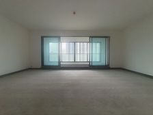 中央公园一环香港置地大平层。公园大道上辰 房源保真!