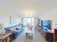 远见名苑三期大复式、东南向采光好、双地铁下楼即到、户型仅一套