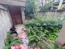 店长力荐! 曦园创景 联排别墅3+3结构 前后花园带车库急售