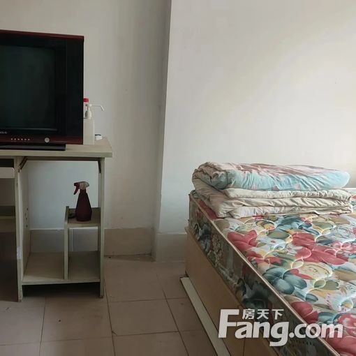  ������· 1¥ ���� ���� 50ƽ550Ԫ 