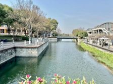 梦想小镇多套小户型出租1加6人间3400到6500全包带家具