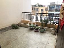 星光白沙大道 锦绣江南 电梯楼中楼 五层楼中楼 大露台