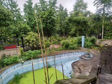 人文别墅 带600平花园 挖了游泳池 急售