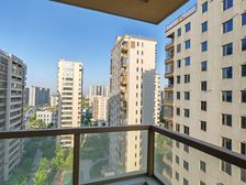 祥生金麟府3室2厅2卫南朝向195.0万元/套出售