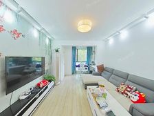 张集 南北通,型采光棒 居家装修看房方便