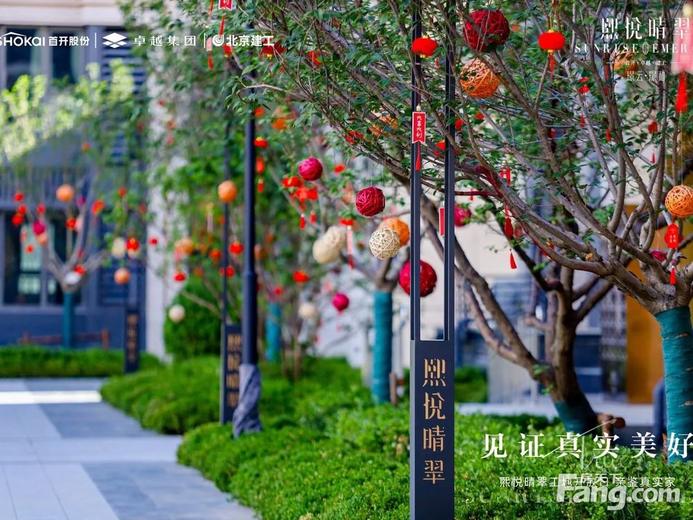 实景图