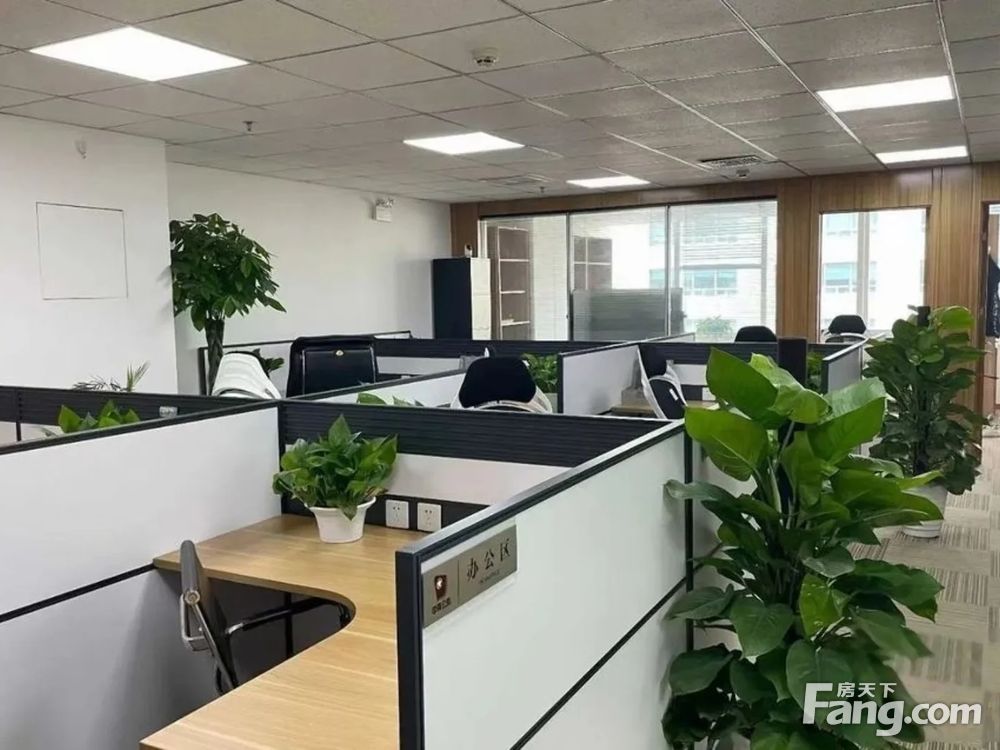 内景图