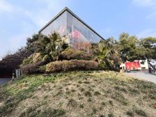 新出 5套独栋 60平起 带上下水 观前街 平江路 口