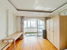 老业主委托随时看房、景观房,全天阳光和视野不挡