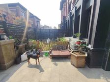 临港首府联排别墅中央空调精装,前后大花园,10房8卫,明珠旁