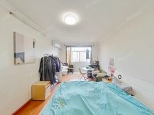 近2号线 3楼 厨卫朝北 采光天花板 精装 南北通 业主诚售