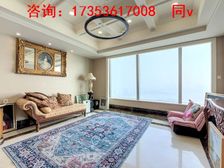 东方之门 苏州地biao 四开间朝东观金鸡湖全景