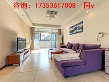 金鸡湖沿湖大三房 楼层视野好 诚意出售