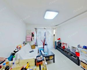 赵公口大红门 南中轴 彩虹城四区两居室 三面宽 满五年一套