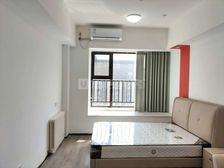 1居室 朝向东 精装 35平 电梯房 楼层好 视野无遮挡