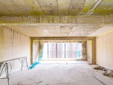 龙湖春江天玺 4室2厅 毛坯出售价格可谈