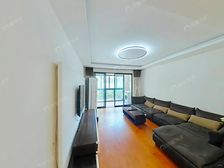 2010年纯商品房小区,万科物业小区环境好