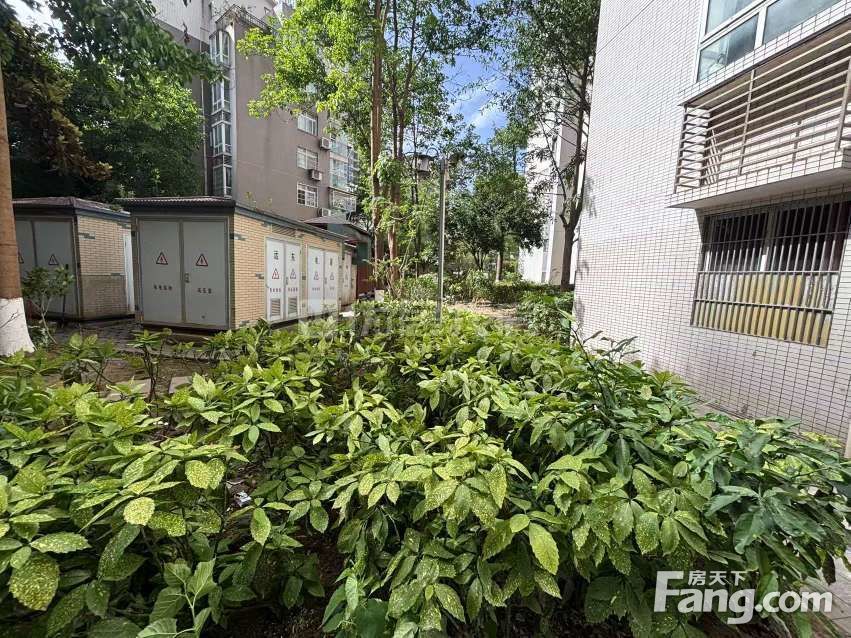 小区图
