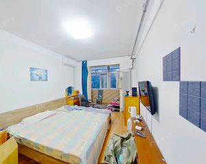 东大桥 农丰里核桃园北里 白家庄 明厨明卫 地铁50米