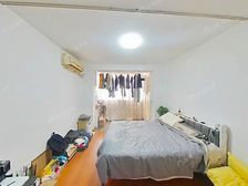 东园三村 新出南向大一房 采光视野好 近双DT