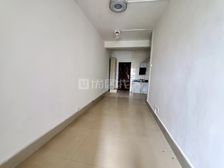 采光好 南北通透 户型方正