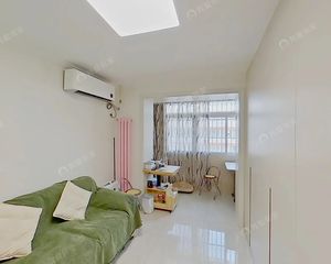 东直门外1995年精装修南向一居室拎包入住