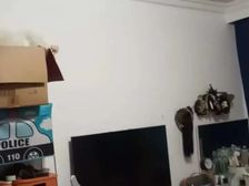 兴发新村2室2厅1卫南朝向162.0万元/套出售