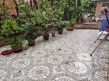 金科世界城(长寿)3室2厅2卫东朝向97.0万元/套出售