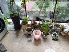 朵力7号2室2厅1卫南朝向23.0万元/套出售