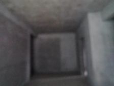 朵力7号2室2厅1卫南朝向40.0万元/套出售