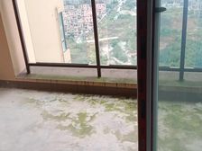 长寿凤城华府3室2厅2卫南朝向56.0万元/套出售